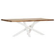 TISCHPLATTE      - Sheeshamfarben, Design, Holz (220/100/5cm) - Landscape