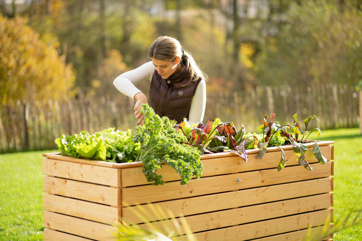 VYVÝŠENÝ ZÁHON   - farba smreka, Basics, drevo (70/90/170cm)