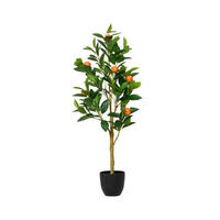 ORANGENBAUM  - Basics (35,00/25,00/90,00cm) - Ambia Home