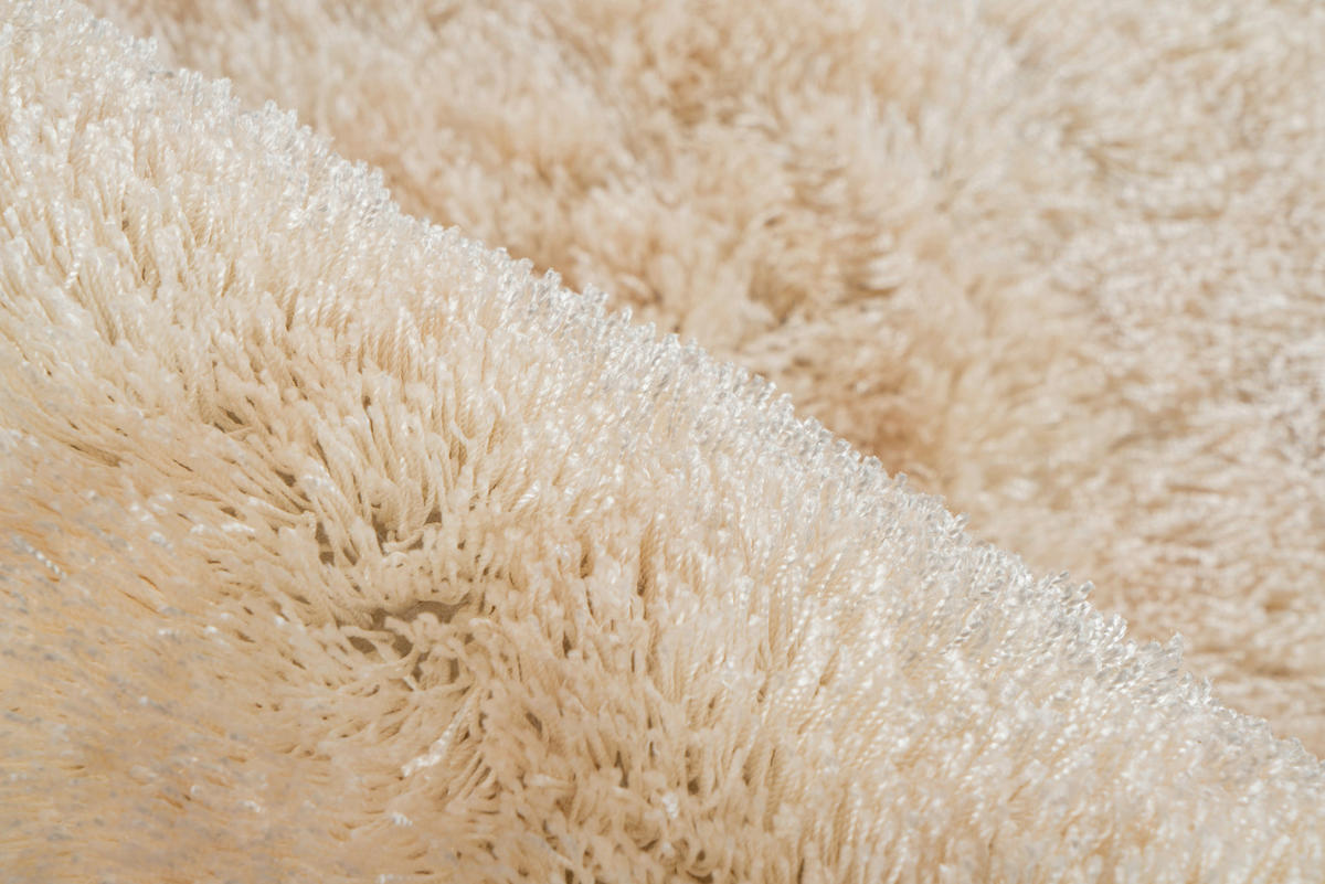 HOCHFLORTEPPICH 170/240 cm Creme rechteckig  - Creme, Basics, Textil (170/240cm) - Kayoom