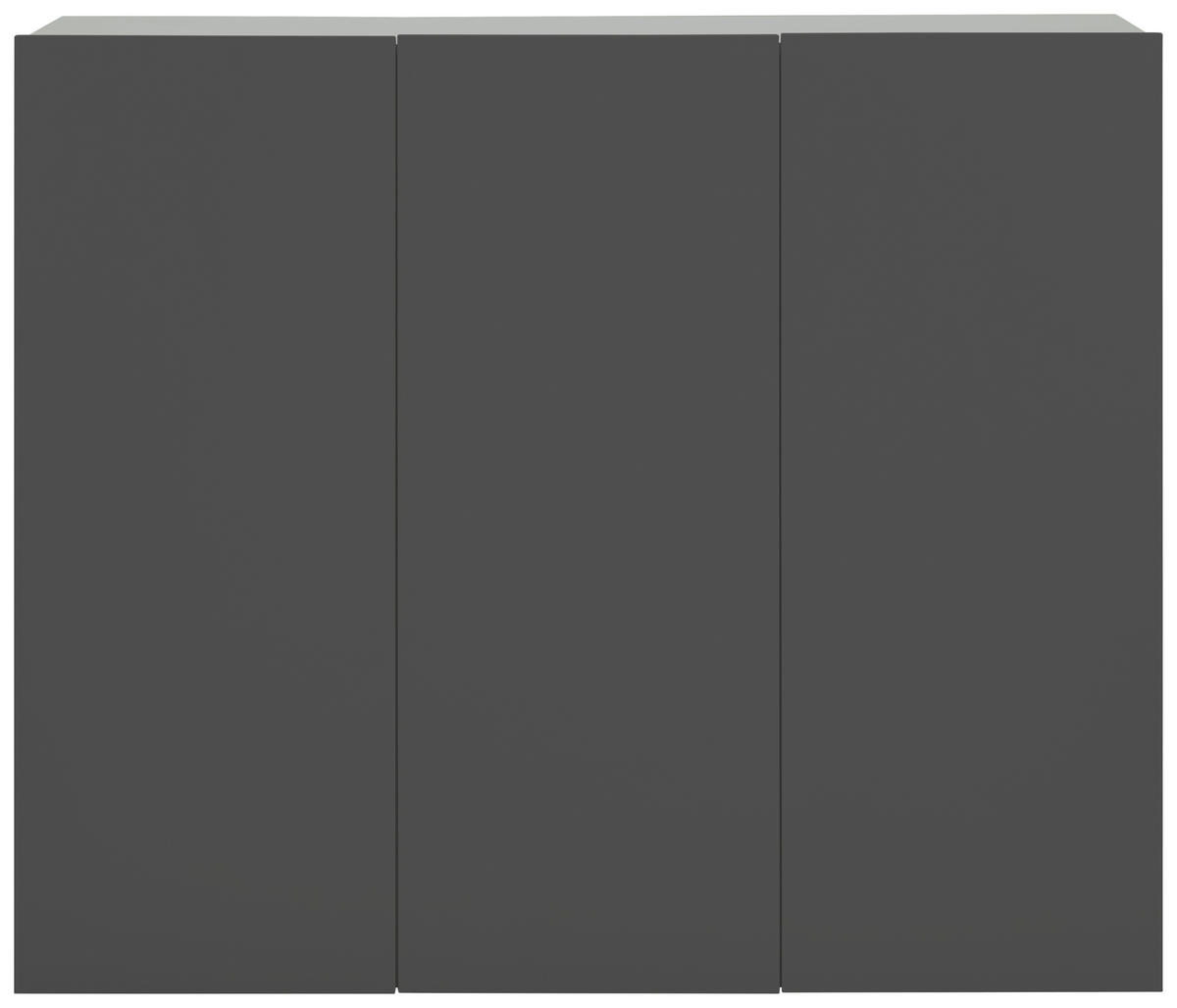 HÄNGESCHUHSCHRANK Anthrazit  - Anthrazit, Design, Holzwerkstoff (120/100/34cm) - Hom`in