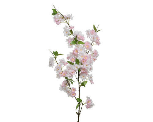 FLOARE DECORATIVĂ - Basics (15/5/127cm)