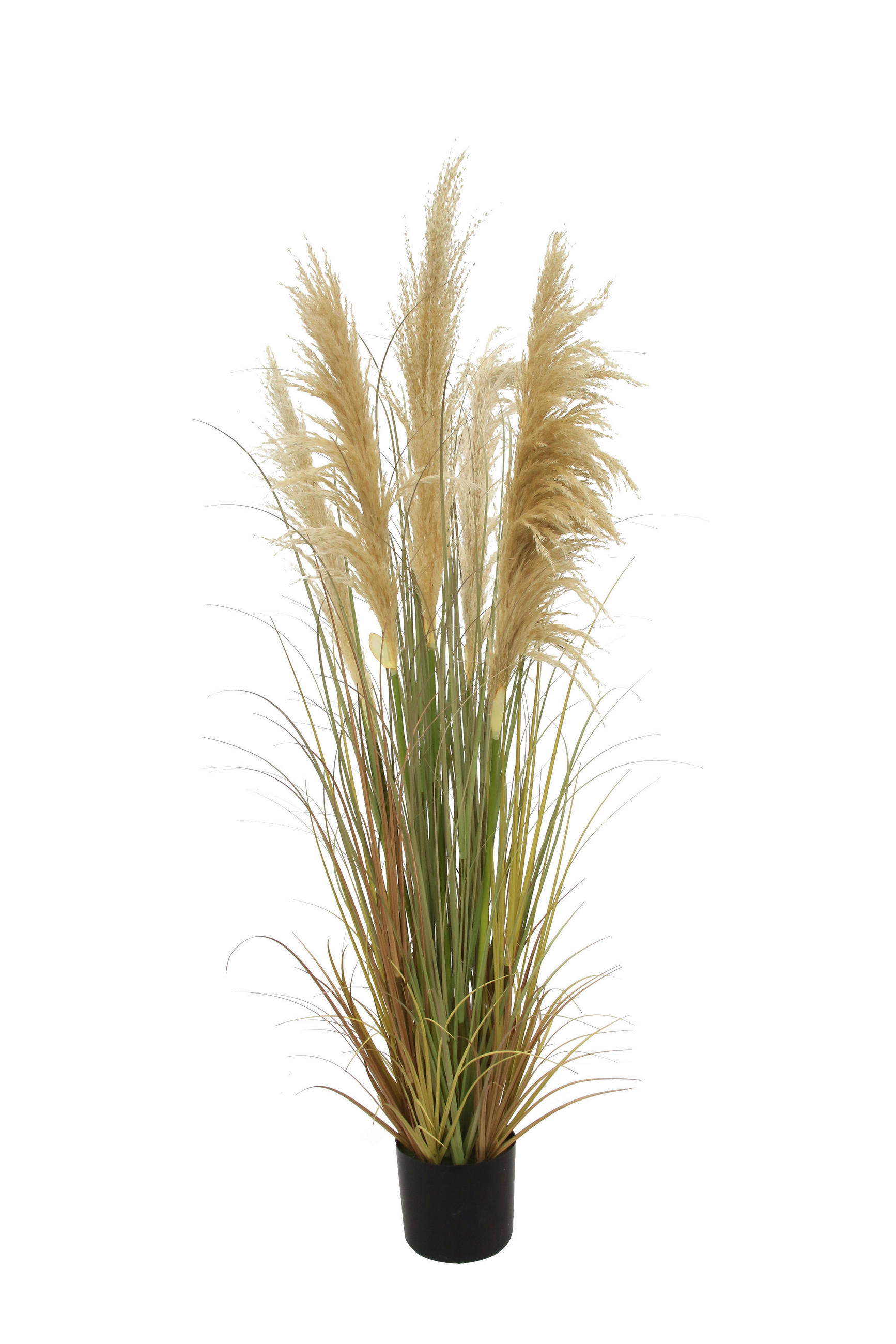 DEKORAČNÍ TRÁVA, 150 cm - hnědá, Natur, kov/plast (150cm) - Ambia Home
