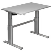SCHREIBTISCH - Silberfarben/Grau, Design, Holzwerkstoff/Metall (120/66-130/80cm)