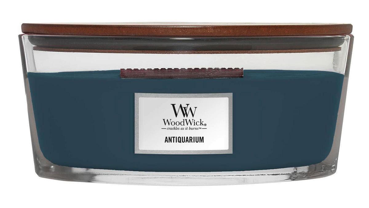 SVIJEĆA MIRISNA  tamno plava  - tamno plava, Basics, staklo/drvo (12/9/19cm)