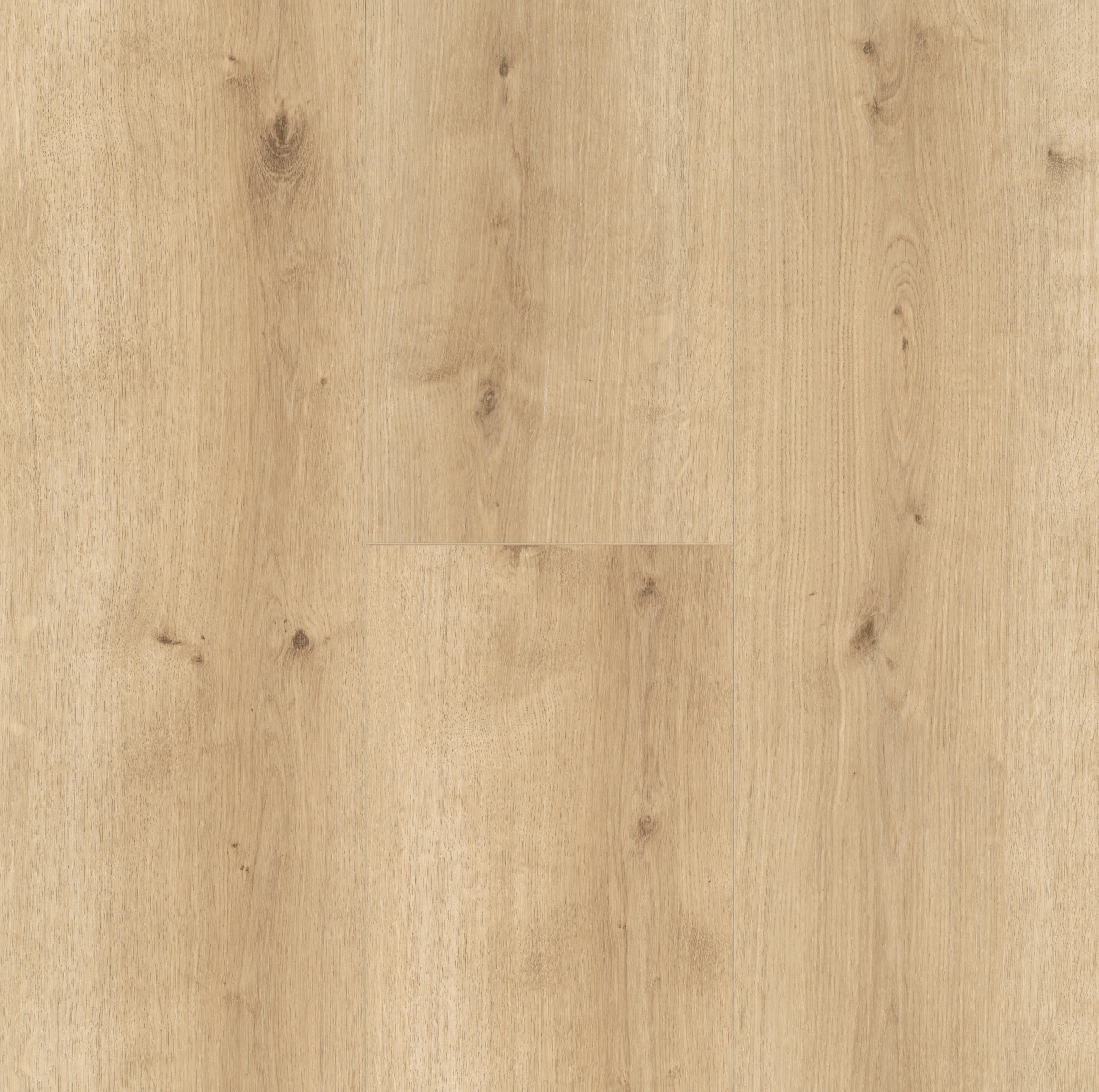 DESIGNBODEN Modular ONE  per  m² - Eichefarben, Design, Holz (220/23.5/0,8cm) - Parador