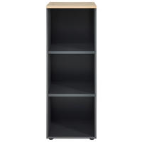 IRATTARTÓ POLC - grafitszürke/fekete, Modern, műanyag/faalapú anyag (45/122/38cm) - Voleo