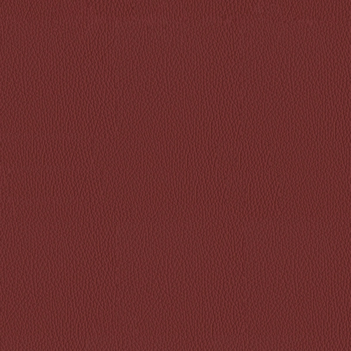 2,5-SITZER in Leder Rot  - Rot/Schwarz, Design, Leder/Metall (195/90/109cm)