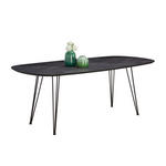 ESSTISCH - Dunkelgrau/Schwarz, Design, Kunststoff/Metall (200/100/76cm) - Dieter Knoll
