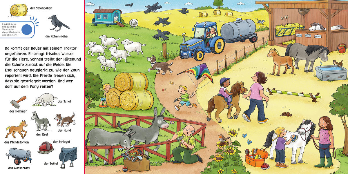 SOUNDBUCH - Basics (18/18,2/1,8cm) - Carlsen