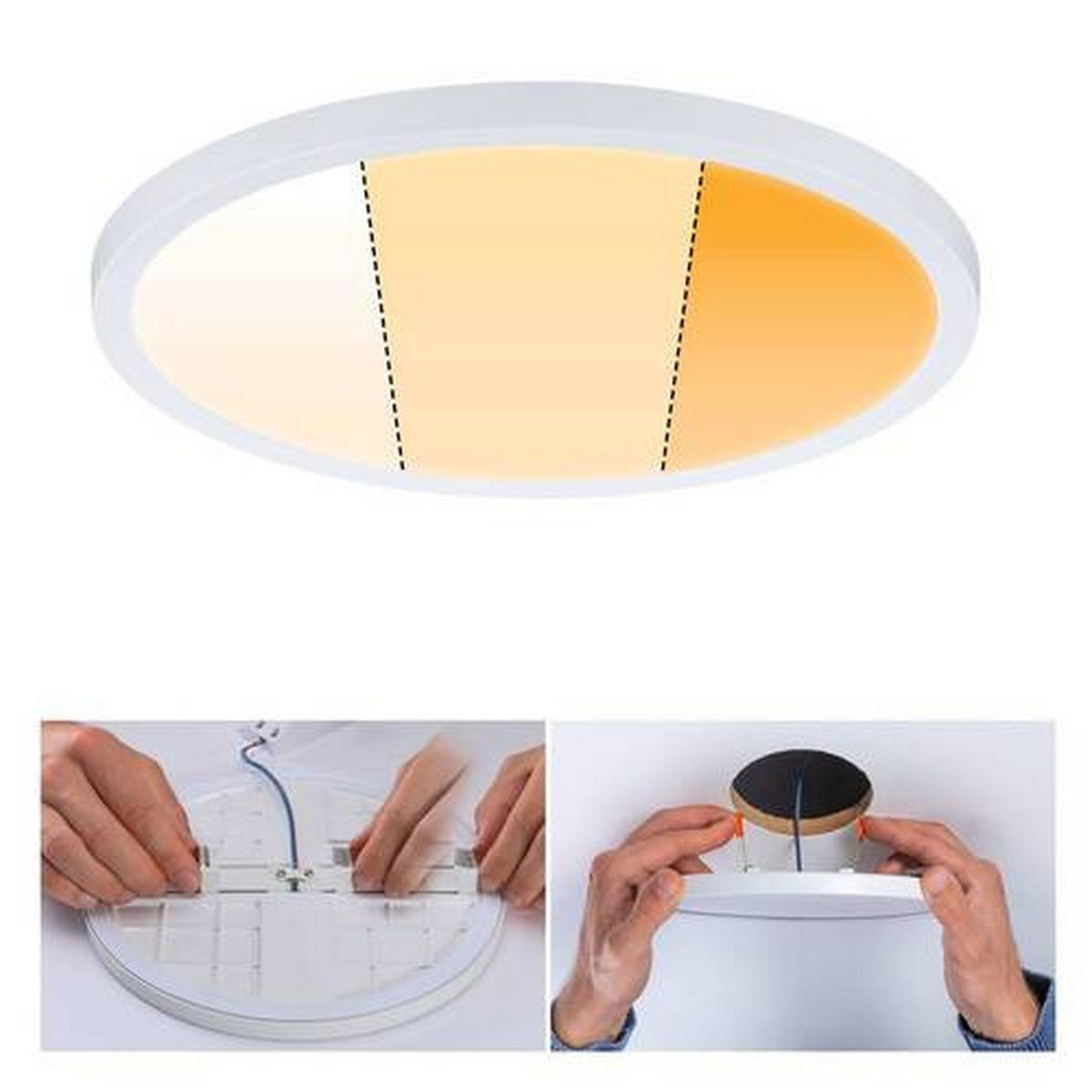 LED-PANEEL 23,0 cm  - Weiß, Basics, Kunststoff (23,0cm) - Paulmann