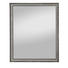 SPIEGEL Silberfarben - Silberfarben, Design, Glas/Holz (45/55cm) - Carryhome