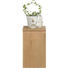 UNTERSCHRANK 30/50,2/32,5 cm - Eichefarben, Design, Glas/Holzwerkstoff (30/50,2/32,5cm) UNTERSCHRANK 30/50,2/32,5 cm - Eichefarben, Design, Glas/Holzwerkstoff (30/50,2/32,5cm)
