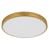 LED SVJETILJKA STROPNA Tibey  - boje mjeda/opalna, Konvencionalno, metal/plastika (35/3cm)