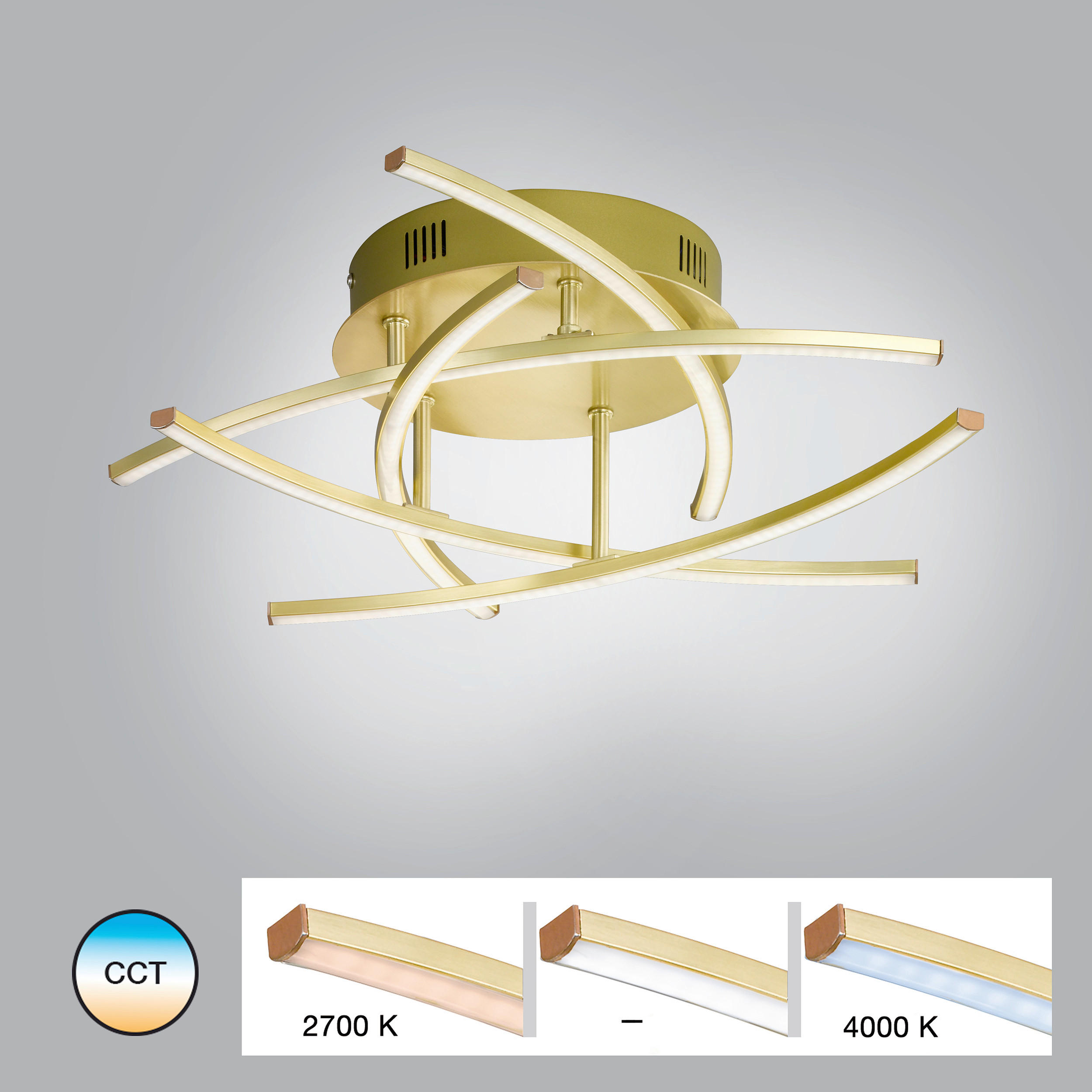 LED-DECKENLEUCHTE 4 W  50/16 cm    - Messingfarben, Design, Metall (50/16cm) - Fischer & Honsel