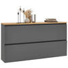 HÄNGESCHUHSCHRANK Balkeneiche furniert Grau, Eichefarben  - Eichefarben/Anthrazit, Design, Holz/Holzwerkstoff (160/83/31cm) - Dieter Knoll