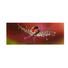 GLASBILD - Multicolor, KONVENTIONELL, Glas (30/80cm) - Eurographics