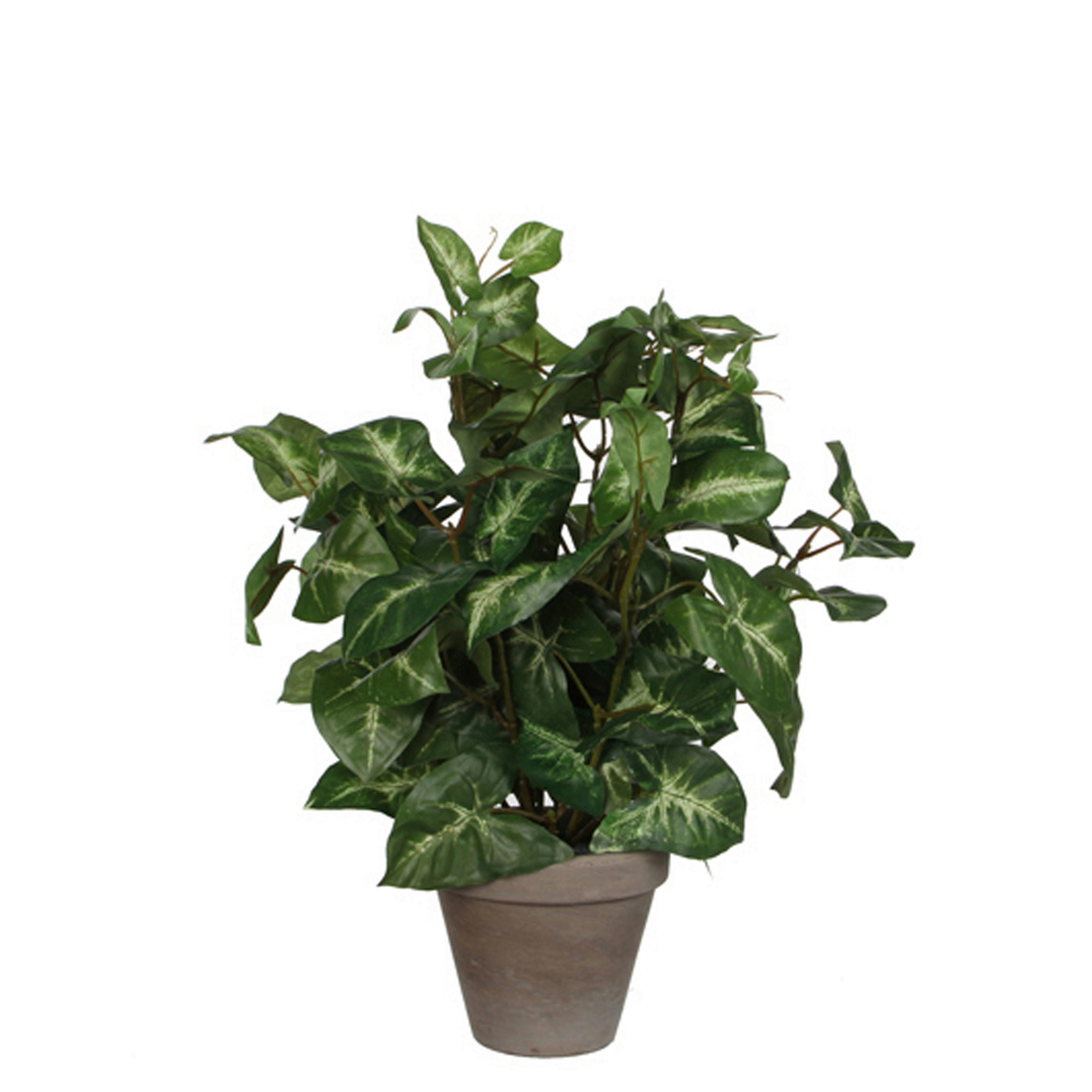 XXXL UMĚLÁ ROSTLINA 35 cm
