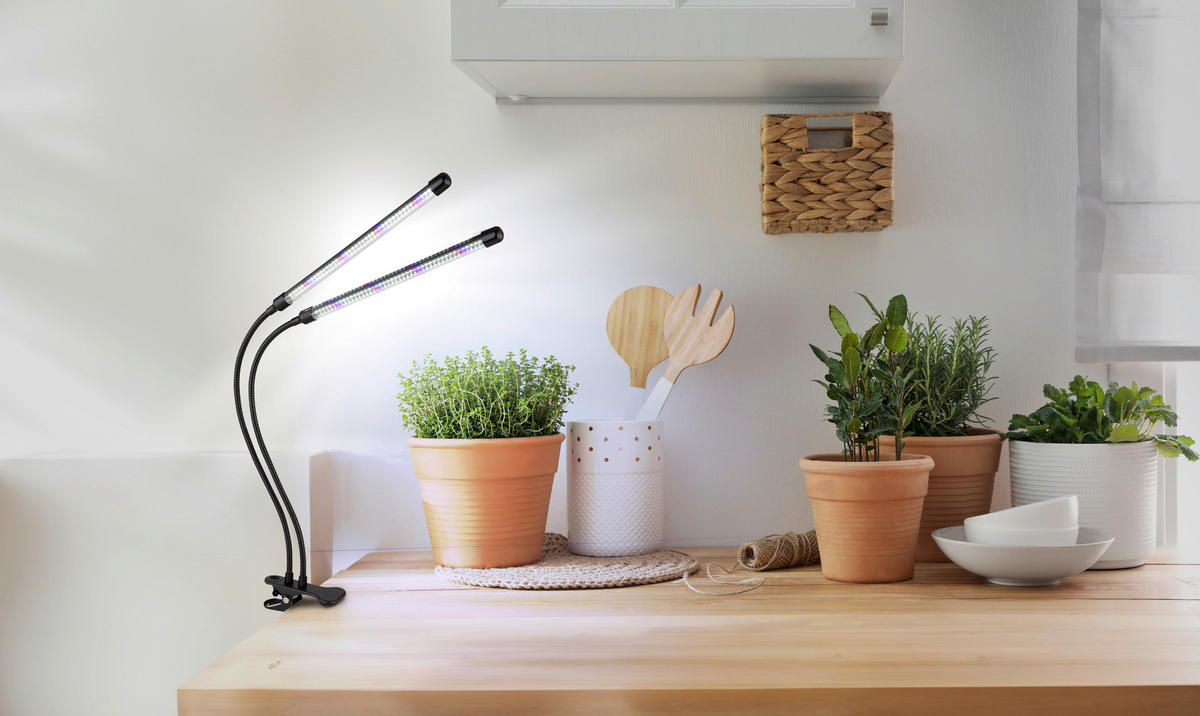 LED SVÍTIDLO SE SVORKOU, 45/41/47 cm - Konvenční (45/41/47cm) - Globo