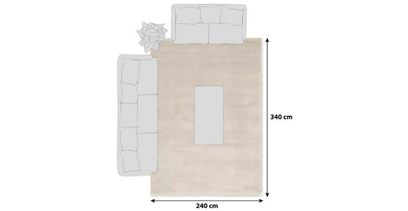 HOCHFLORTEPPICH 240/340 cm Bellevue  - Creme, Basics, Textil (240/340cm) - Novel