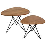 BEISTELLTISCHSET Mindiholz massiv Schwarz, Teakfarben  - Schwarz/Teakfarben, LIFESTYLE, Holz/Metall (40-50/45-55/36-45cm) - Landscape