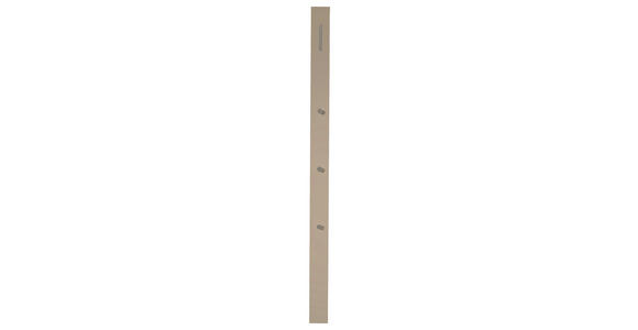 GARDEROBENPANEEL in 10/165/3 cm - Taupe, Design, Holzwerkstoff/Metall (10/165/3cm) - Moderano