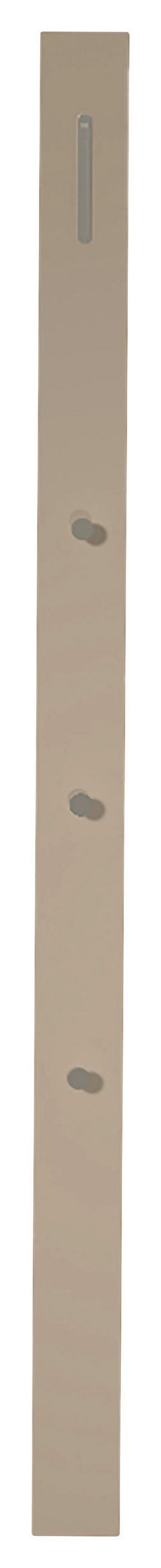 PANNEAU DE GARDE-ROBE  in 10/165/3 cm  - Taupe, Design, Holzwerkstoff/Metall (10/165/3cm) - Moderano