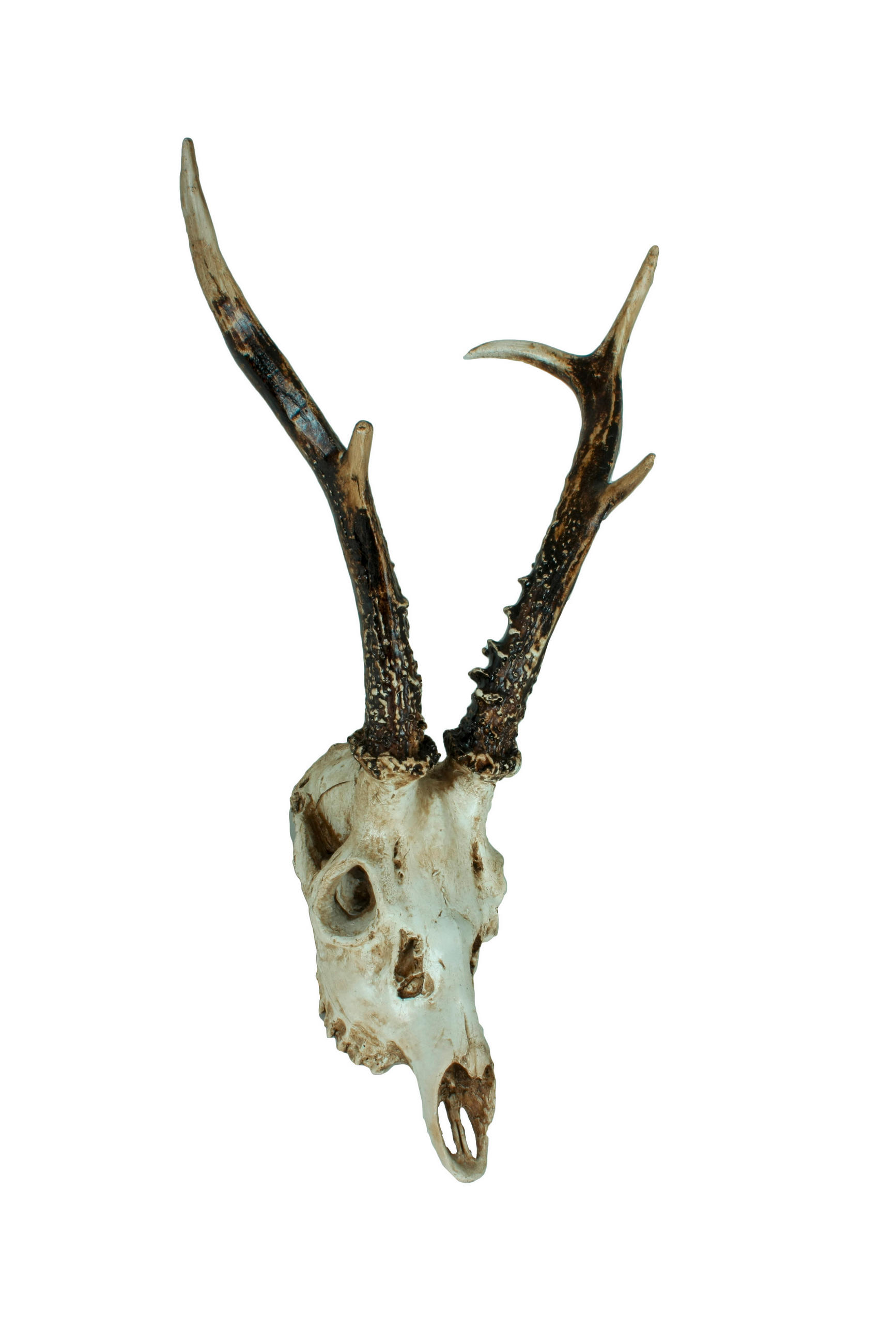 GEWEIH - Naturfarben, Basics, Kunststoff (23,5/39/24cm)