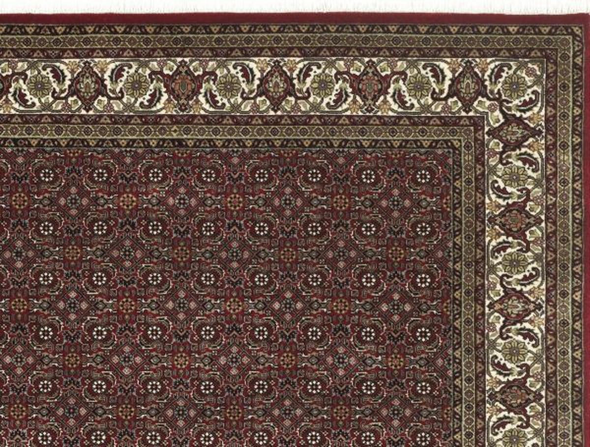 ORIENTTEPPICH 250/350 cm Bidjar Elegant Allover Creme, Rot  - Rot/Creme, Basics, Textil (250/350cm) - Cazaris