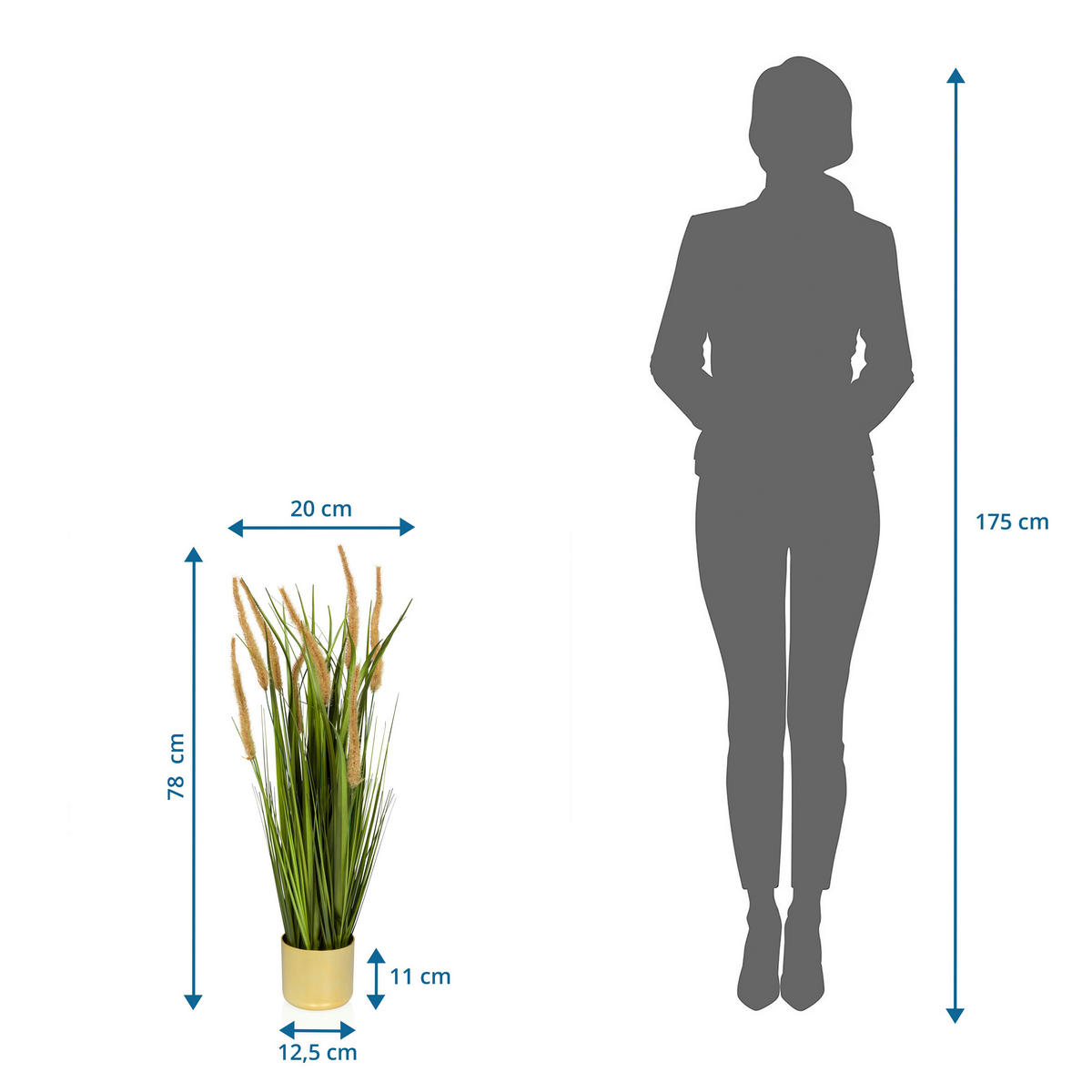 UMELÁ RASTLINA pampová tráva  - zlatá/zelená, Modern, plast (20/78/20cm) - MID.YOU