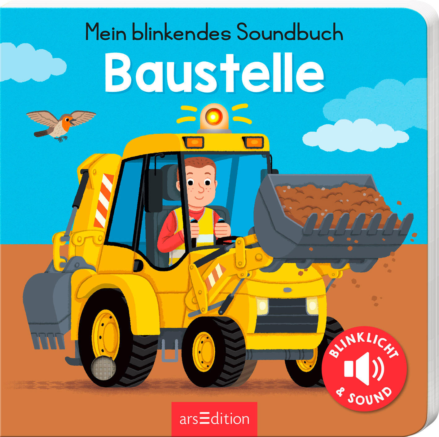 BUCH - Basics (17,3/17,6/1,5cm)