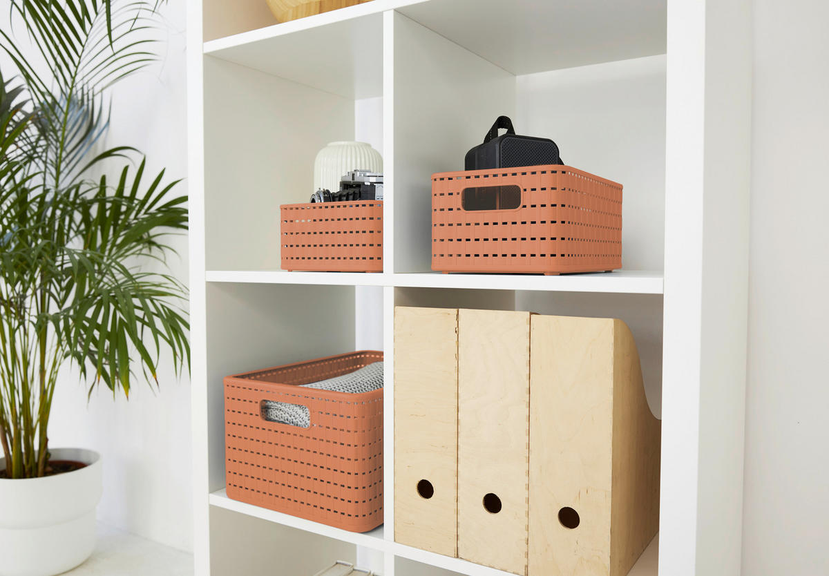 AUFBEWAHRUNGSBOX     - Koralle, Basics, Kunststoff (13,7/9,8/18,3cm) - Rotho