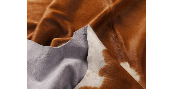 RINDERFELL 200/230 cm Hereford Braun, Weiß  - Braun/Weiß, LIFESTYLE, Leder/Fell (200/230cm) - Linea Natura