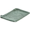 WASCHLAPPEN Quattro Dunkelgrün  - Dunkelgrün, Basics, Textil (16/22cm) - Esposa
