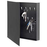 SCHLÜSSELKASTEN Schwarz  - Schwarz, Basics, Metall (30/30/4cm)