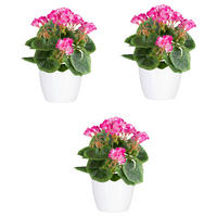 KUNSTPFLANZE Geranie 24 cm  - Pink/Weiß, Design, Keramik/Kunststoff (24cm) - P & B