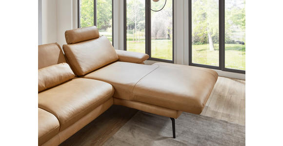 ECKSOFA in Echtleder Honig  - Schwarz/Honig, Design, Leder/Metall (310/180cm) - Dieter Knoll