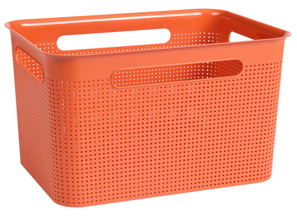 BOX     - Koralle, KONVENTIONELL, Kunststoff (26,2/21,1/36cm) - Rotho