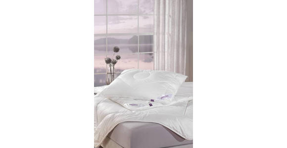 POLSTER 70/90 cm - Weiß, Basics, Textil (70/90cm) - Sleeptex