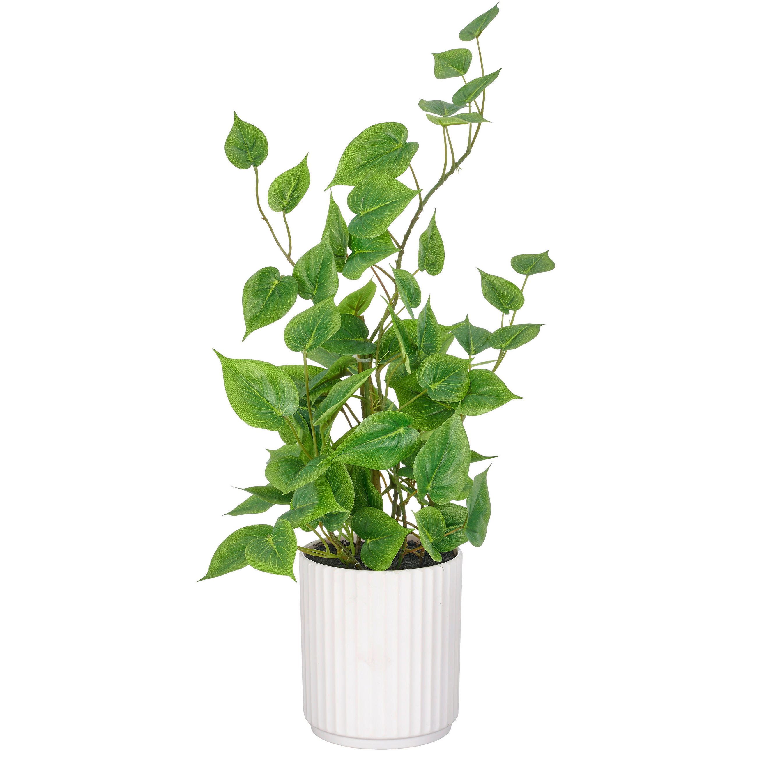 KUNSTPFLANZE Philodendron 50 cm  - Weiß/Grün, Basics, Kunststoff (50cm)