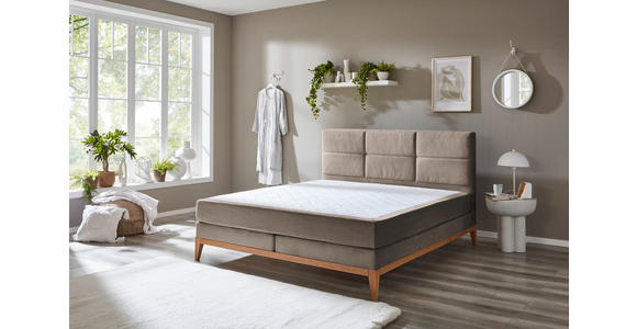BOXSPRINGBETT 180/200 cm in Taupe - Taupe/Eichefarben, KONVENTIONELL, Holz/Textil (180/200cm) - Carryhome