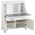 SEKRETÄR  Kabeldurchlass, Stauraum  - Schwarz/Alufarben, LIFESTYLE, Holzwerkstoff/Kunststoff (98/124/42cm) - Carryhome