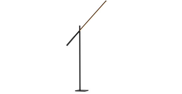 LED-STEHLEUCHTE 27-150/19/162-248 cm - Schwarz, Design, Metall (27-150/19/162-248cm) - Dieter Knoll