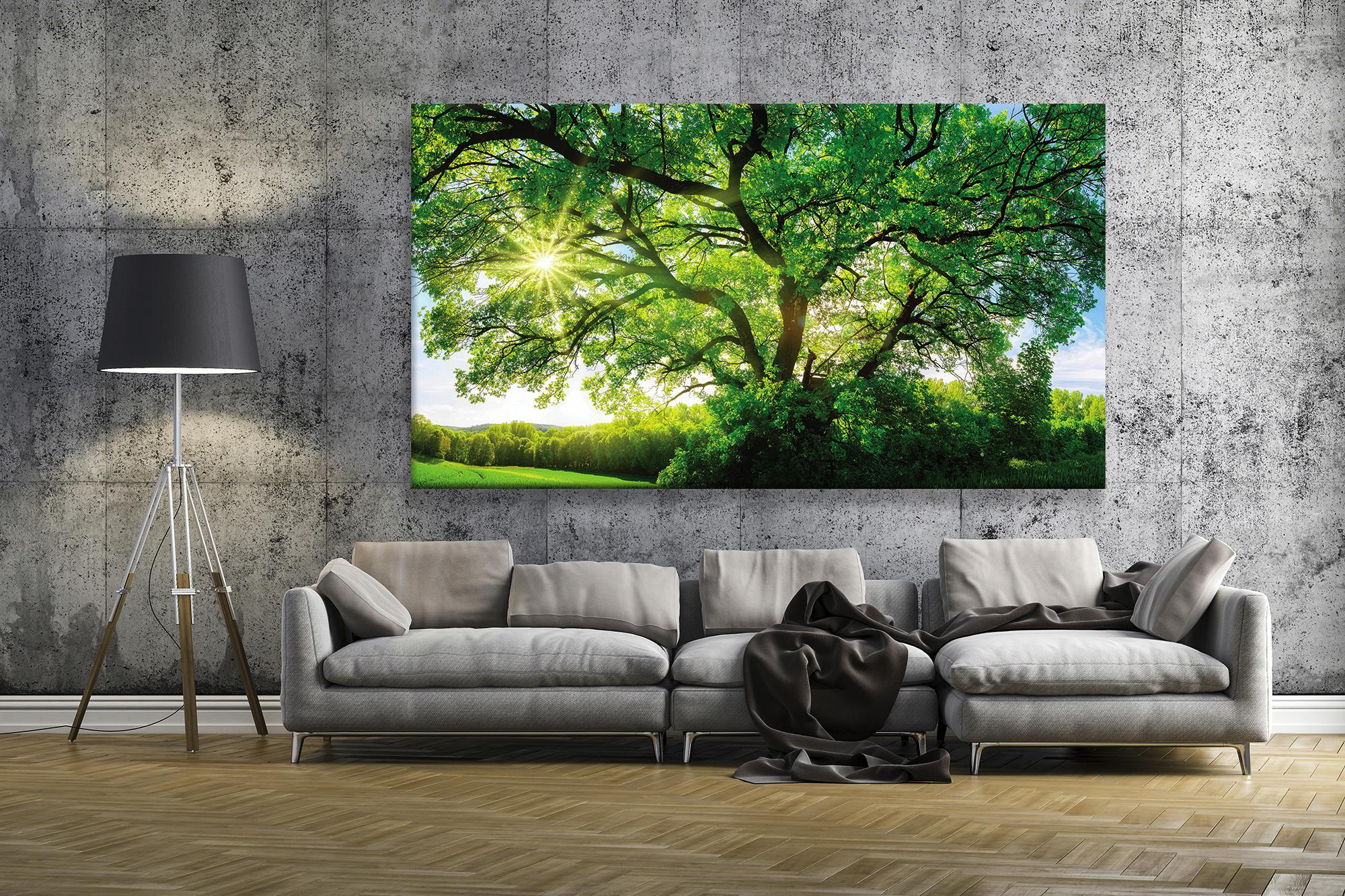 Acrylglasbild Baume Jetzt Nur Online Xxxlutz