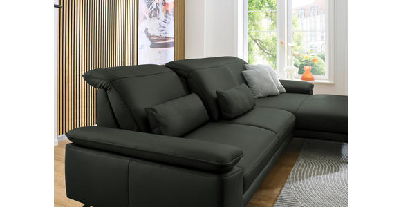 ECKSOFA in Echtleder Dunkelgrün 332/193 cm - Dunkelgrün/Schwarz, Design, Leder/Metall (332/193cm) - Dieter Knoll