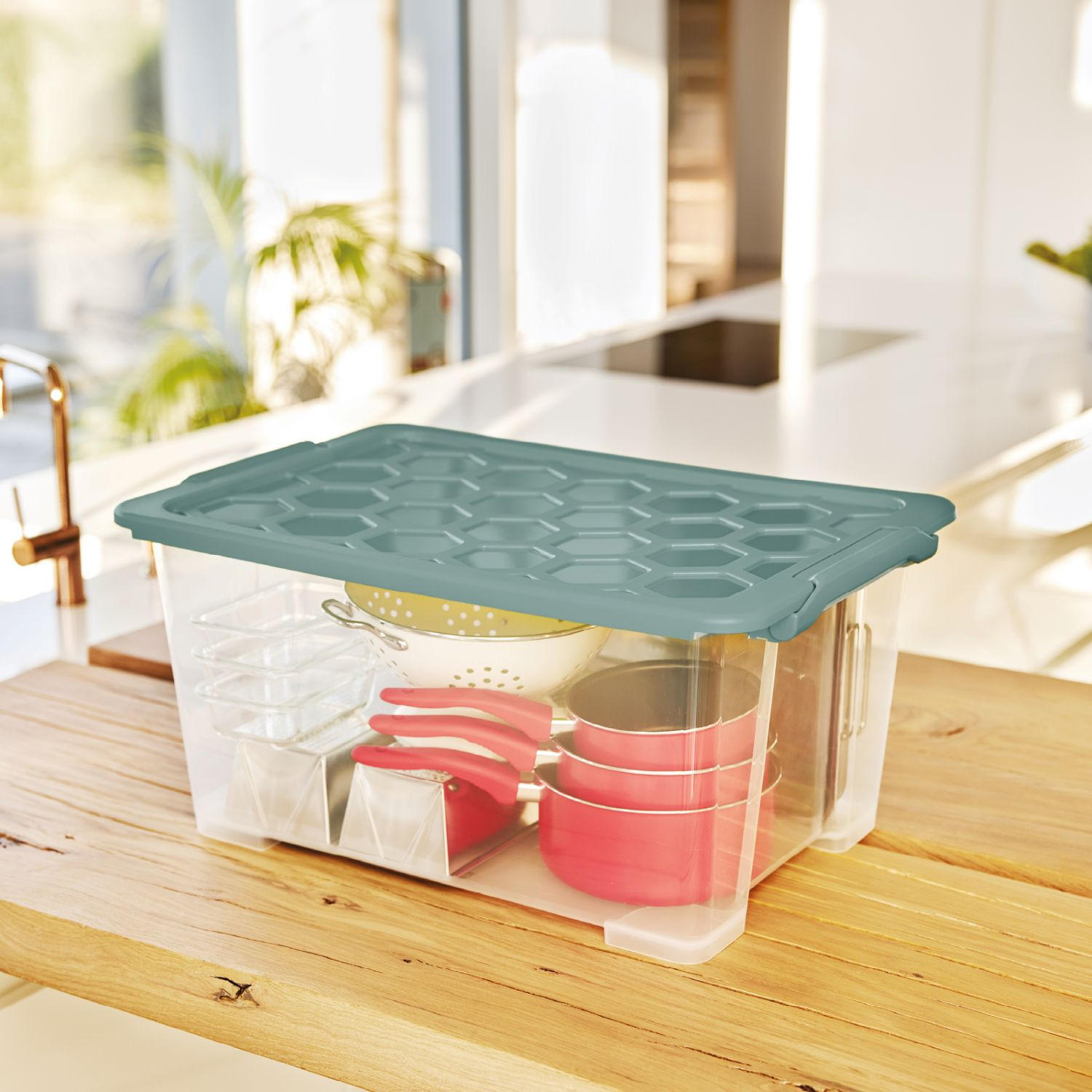 BOX MIT DECKEL EVO SAFE  - Transparent/Grün, Basics, Kunststoff (59/39,5/28cm) - Rotho
