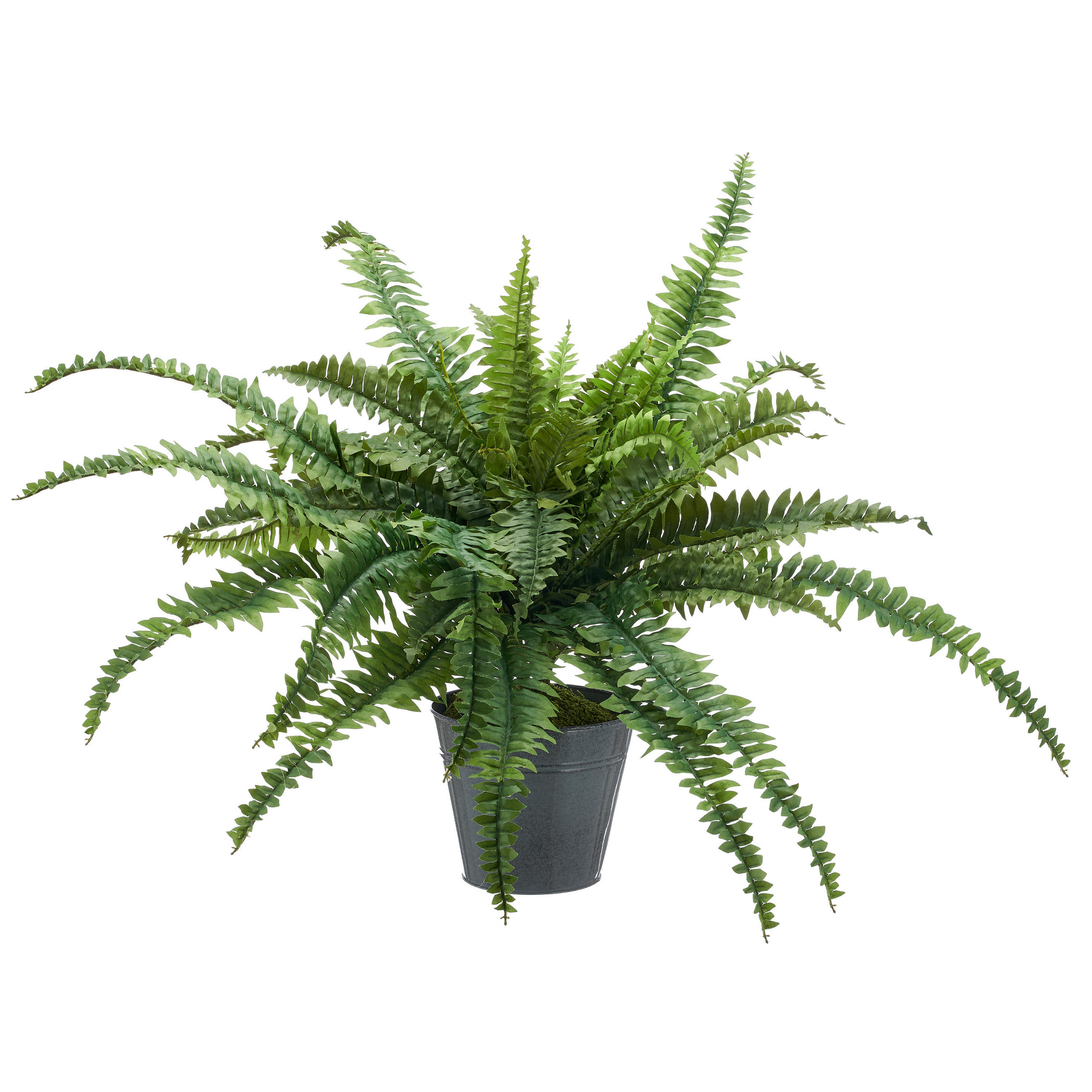 KUNSTPFLANZE Farn  - Zinkfarben/Grün, Basics, Kunststoff/Metall (100cm) - P & B