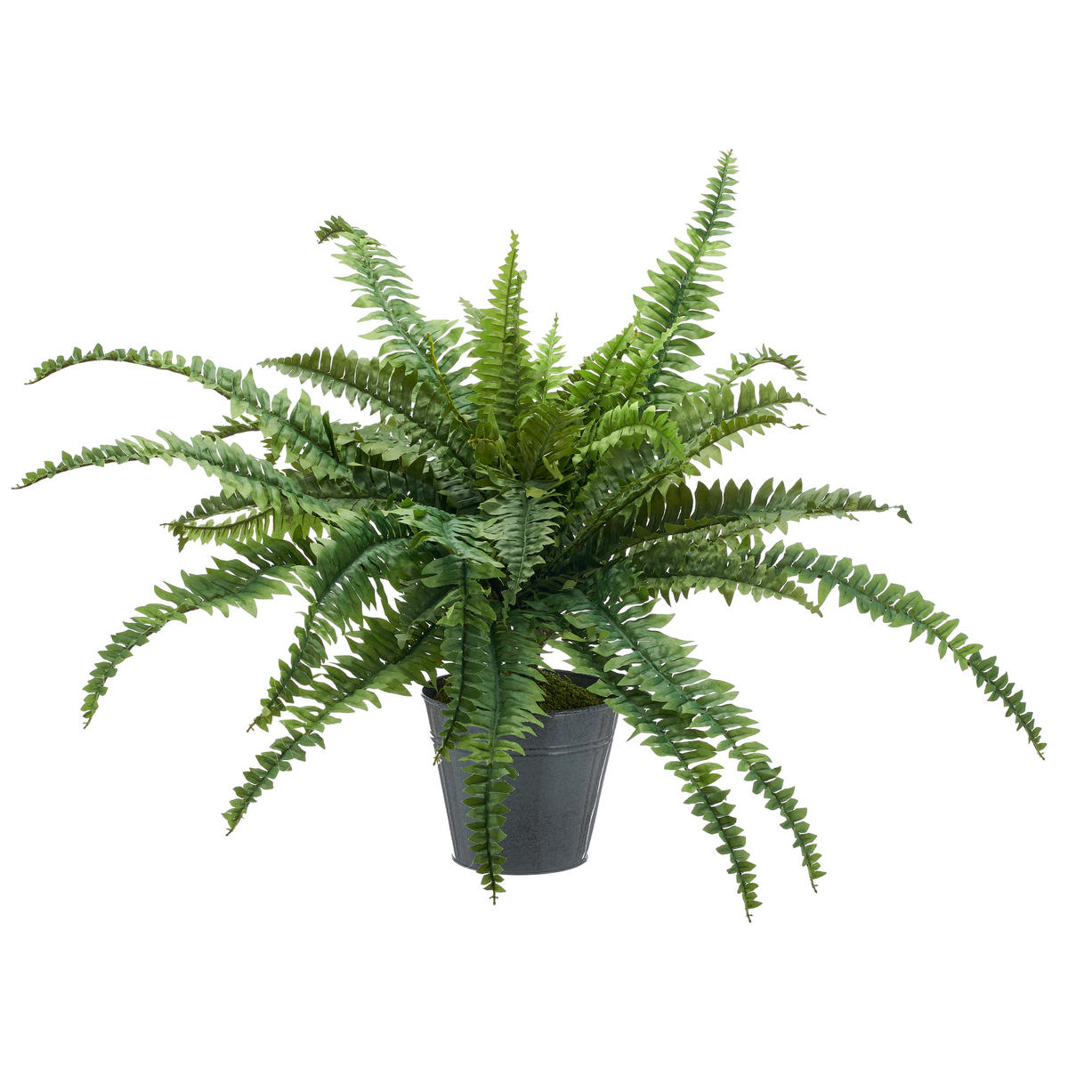 KUNSTPFLANZE Farn  - Zinkfarben/Grün, Basics, Kunststoff/Metall (100cm) - P & B