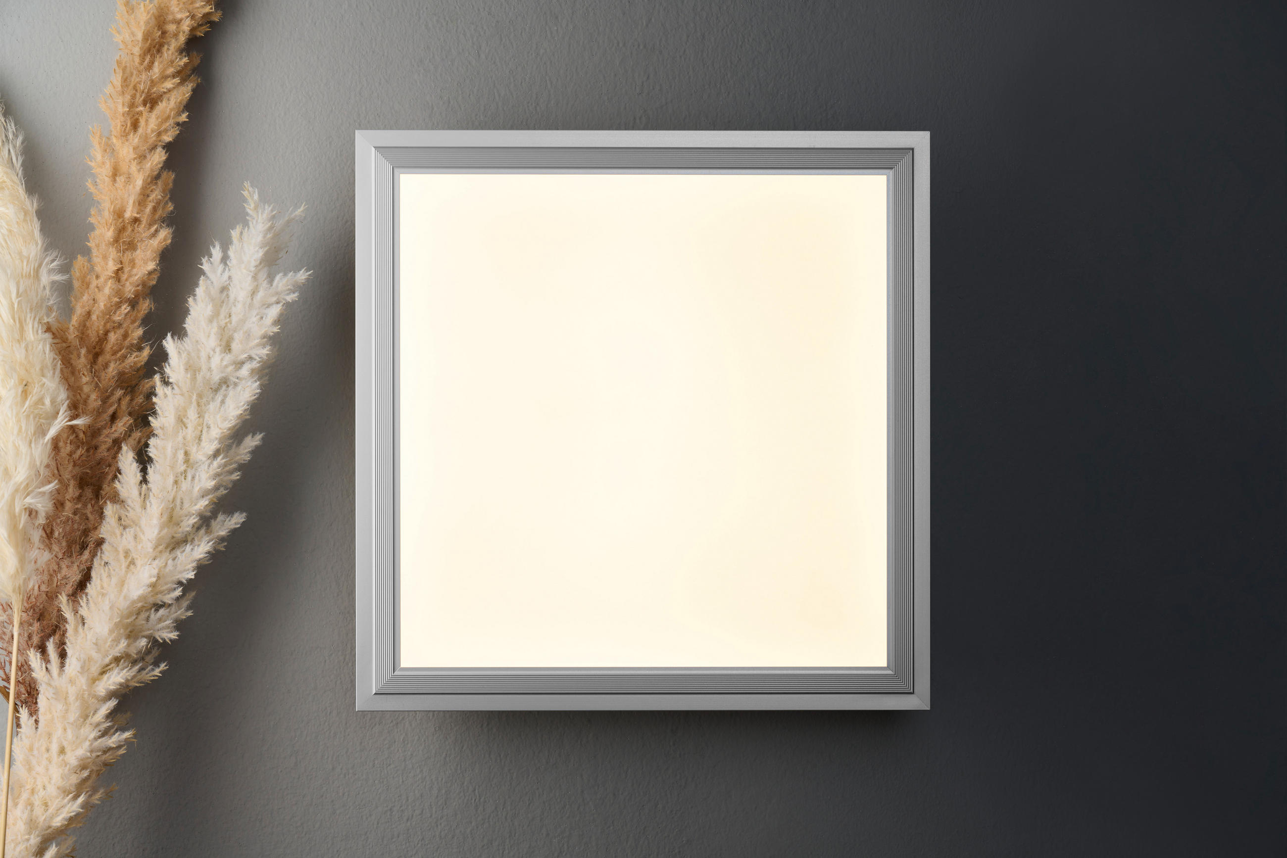 STROPNÍ LED SVÍTIDLO, 30/30/6 cm - bílá/barvy stříbra, Basics, kov/plast (30/30/6cm) - Boxxx
