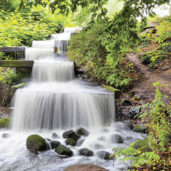 GLASBILD Landschaft & Natur  - Multicolor, Natur, Glas (30/30/1,40cm) - Euroart